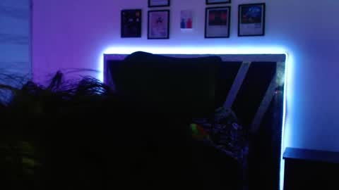 Snapshot of sebasxxl12 chatting on October 2025 03:48:02 AM Sebas online show from October 2025 03:48:02 AM