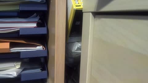 Snapshot of sebnours chatting on September 2025 09:55:01 AM sebnours online show from September 2025 09:55:01 AM