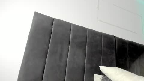 Snapshot of sebpalacio chatting on January 2025 05:37:01 AM SEBASTIAN PALACIO online show from January 2025 05:37:01 AM