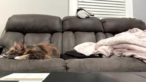 secretiveboy21 online show from November 2025 07:18:01 AM