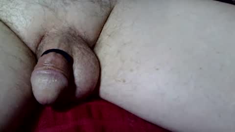 Snapshot of seeus24 chatting on October 2025 04:10:01 AM seeus24 online show from October 2025 04:10:01 AM