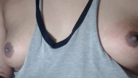 Selda online show from November 2025 12:04:02 PM