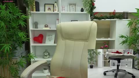 Seline online show from December 2024 04:53:02 PM