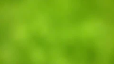 Snapshot of sens3439 chatting on November 2025 08:36:02 AM sens3439 online show from November 2025 08:36:02 AM