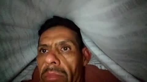 servicio8330 online show from September 2025 11:11:01 AM