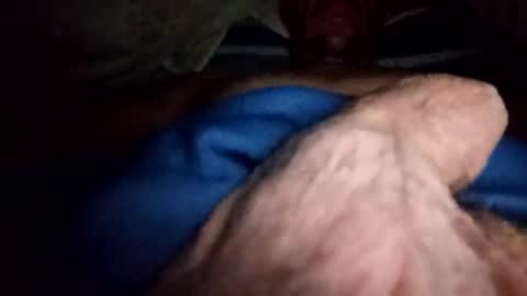 servicio8330 online show from September 2025 09:33:01 AM