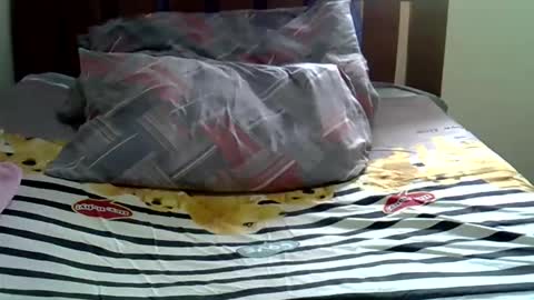 Snapshot of sexy_bee5 chatting on November 2025 11:41:01 AM squirt lola online show from November 2025 11:41:01 AM