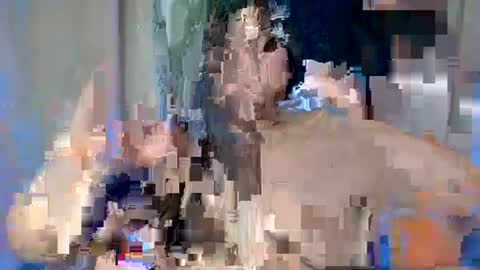 Snapshot of sexy_devotion chatting on February 2025 07:47:02 AM ALFREA online show from February 2025 07:47:02 AM