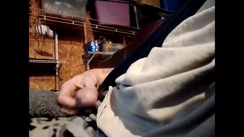 Snapshot of sexy_richy chatting on November 2025 01:57:01 PM RICHY online show from November 2025 01:57:01 PM