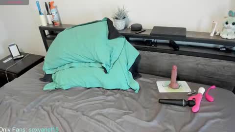 SexyAriel15 online show from October 2025 04:51:01 PM