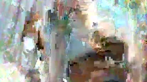 taiyan online show from February 2025 01:31:02 AM