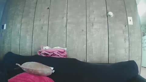 Snapshot of sexystripper69 chatting on February 2025 10:09:01 PM sexystripper69 online show from February 2025 10:09:01 PM