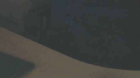 Snapshot of shaved164 chatting on February 2025 04:52:01 PM Frans online show from February 2025 04:52:01 PM