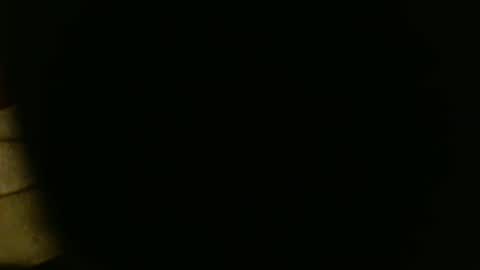 shawnmc7 online show from February 2025 04:52:01 PM