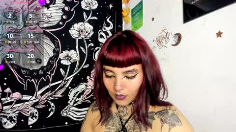 sheccid   online show from December 2024 01:51:01 AM