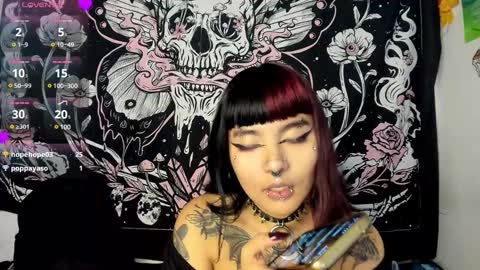 sheccid   online show from December 2024 02:23:01 AM
