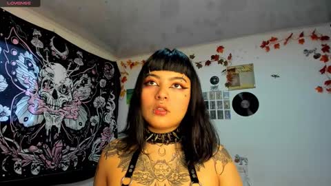 sheccid   online show from January 2025 02:30:02 PM