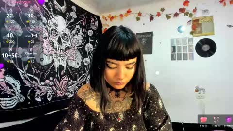 sheccid   online show from January 2025 11:41:01 AM