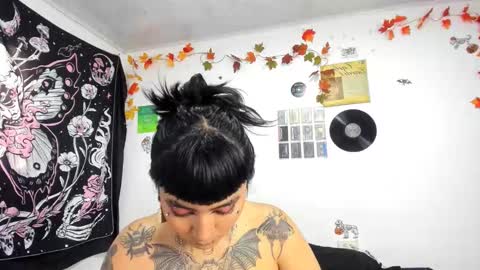 sheccid   online show from February 2025 04:20:02 PM