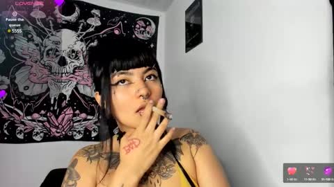 sheccid   online show from March 2025 06:32:01 PM