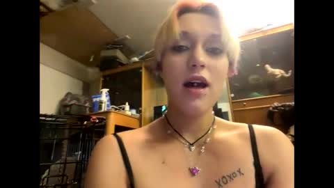 Shelby holes online show from December 2024 01:49:02 PM