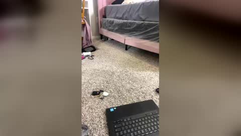 Shelia Averette online show from December 2025 01:56:02 AM