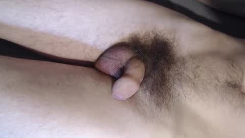 shototto online show from November 2025 08:39:02 AM