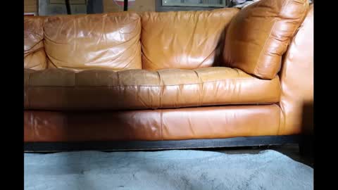 shrimp_stuck online show from February 2025 05:30:01 PM