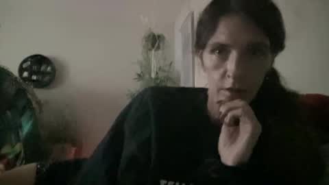 Trex online show from September 2025 11:33:01 AM