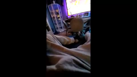 shynessy online show from February 2025 12:19:01 AM