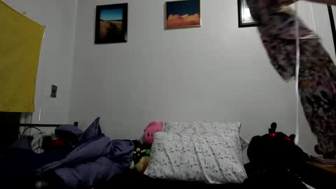 Sierra online show from January 2025 04:41:02 AM