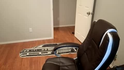 Snapshot of sigmaslayer chatting on October 2025 11:56:02 PM sigmaslayer online show from October 2025 11:56:02 PM