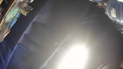 silentwarrior6969 online show from September 2025 09:25:02 AM