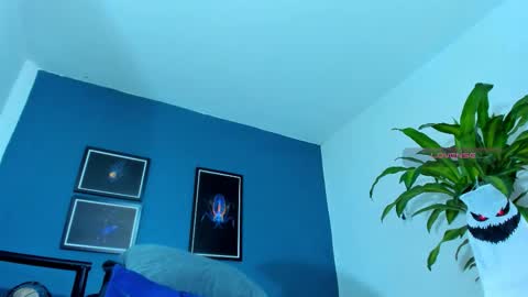 silvabranko online show from October 2025 01:20:01 AM