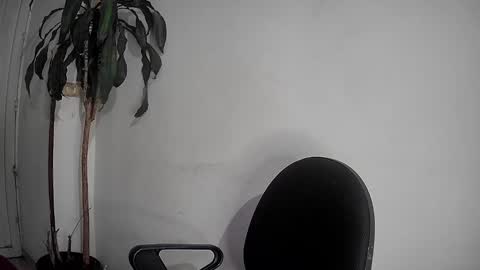 Silvie online show from December 2024 12:52:01 AM