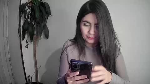 Silvie online show from December 2024 01:18:02 AM