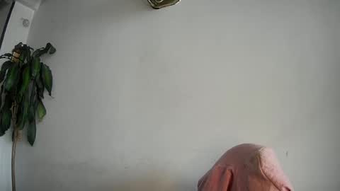 Silvie online show from February 2025 07:50:02 PM