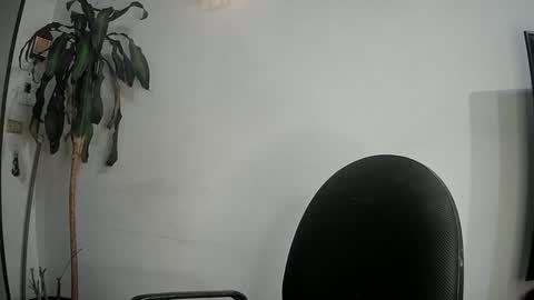 Silvie online show from March 2025 11:26:01 PM