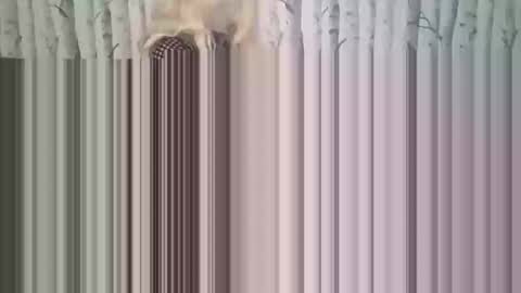 Snapshot of simontupin1973 chatting on December 2025 01:33:02 AM simontupin1973 online show from December 2025 01:33:02 AM