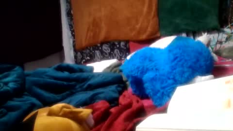 Siofra online show from October 2025 04:00:02 AM