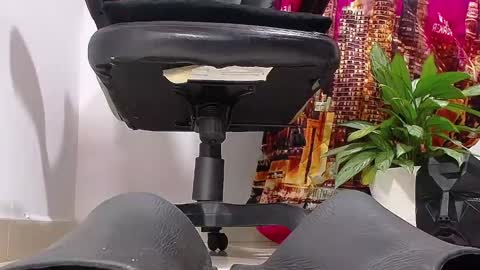 only foot                         worshipers here online show from December 2024 10:48:02 PM