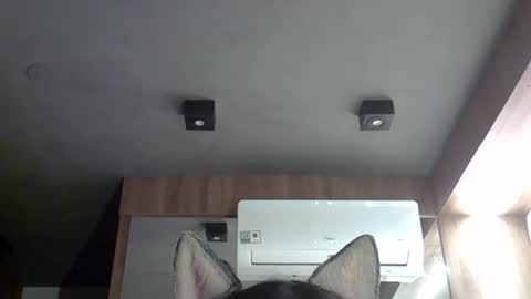 skinnykittencam online show from September 2025 05:57:02 AM