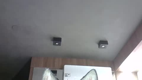 skinnykittencam online show from October 2025 07:21:02 AM