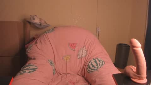 Nika   online show from January 2025 02:46:02 PM