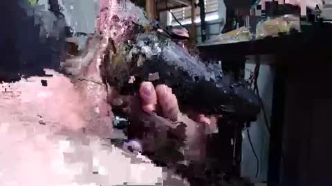 Snapshot of sliderguy699 chatting on December 2024 04:59:02 PM sliderguy699 online show from December 2024 04:59:02 PM