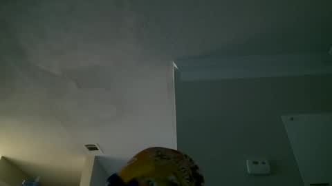 slimmmgooodiexoxo online show from September 2025 11:14:01 AM