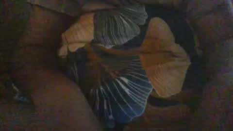 slothslav online show from December 2024 12:40:02 PM