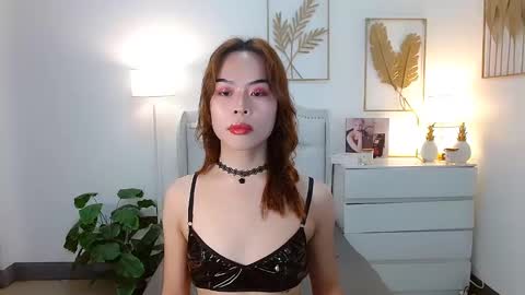 Snapshot of slutty_aurora chatting on February 2025 02:12:01 PM slutty_aurora online show from February 2025 02:12:01 PM