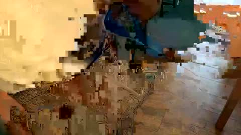 Peter Johnson online show from December 2024 06:06:02 PM