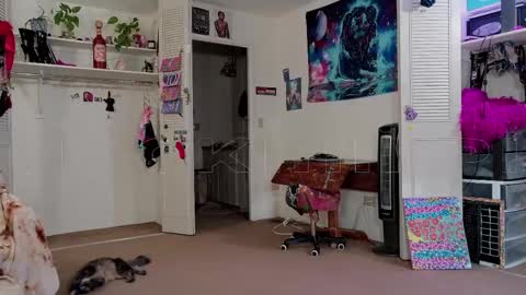 Snapshot of smokihippi chatting on November 2025 02:39:01 PM Big Dawg online show from November 2025 02:39:01 PM